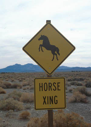 Death Valley Junction, Inyo County
